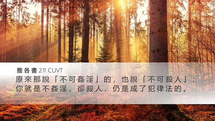 雅 各 書 2:11 CUVT Bible Verse Image