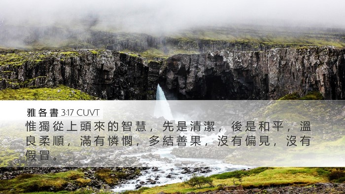 雅 各 書 3:17 CUVT Bible Verse Image