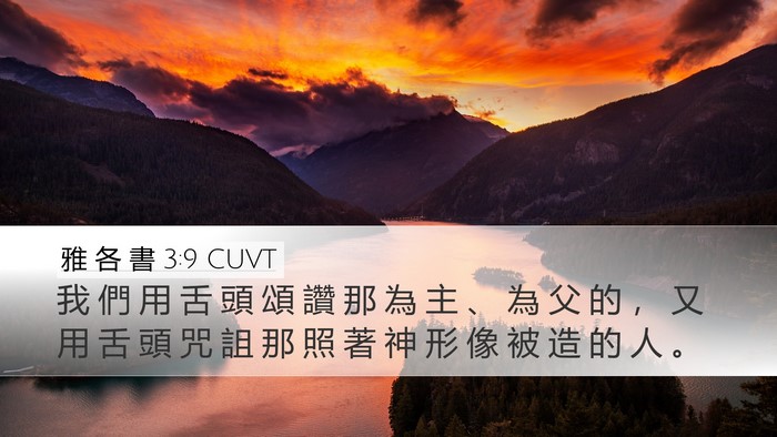 雅 各 書 3:9 CUVT Bible Verse Image