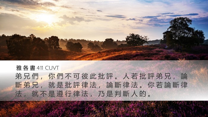 雅 各 書 4:11 CUVT Bible Verse Image