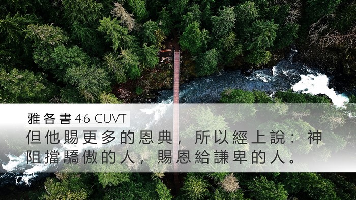 雅 各 書 4:6 CUVT Bible Verse Image