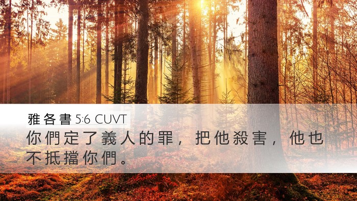 雅 各 書 5:6 CUVT Bible Verse Image