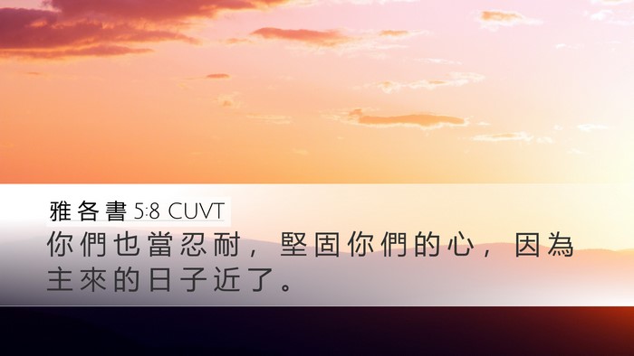 雅 各 書 5:8 CUVT Bible Verse Image