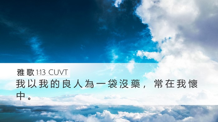 雅 歌 1:13 CUVT Bible Verse Image
