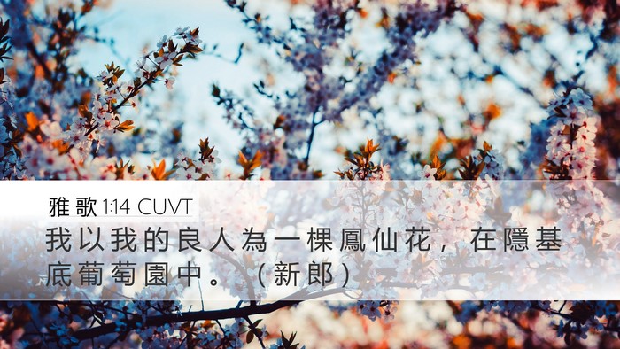 雅 歌 1:14 CUVT Bible Verse Image