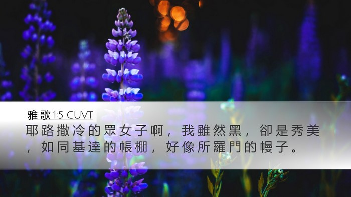 雅 歌 1:5 CUVT Bible Verse Image