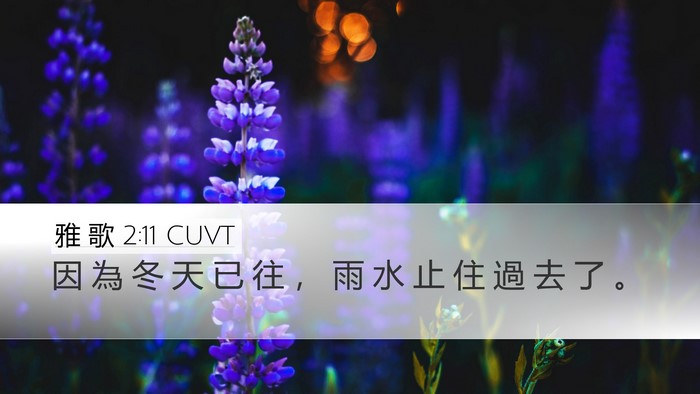 雅 歌 2:11 CUVT Desktop Wallpaper - 因 為 冬 天 已 往 ， 雨 水 止 住 過 - Desktop Bible Verse Wallpaper