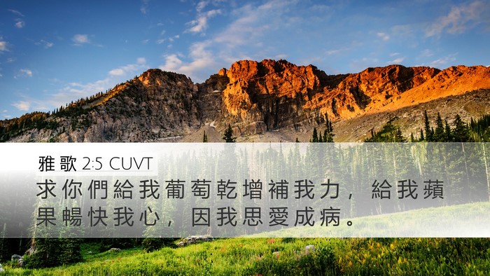 雅 歌 2:5 CUVT Desktop Wallpaper - 求 你 們 給 我 葡 萄 乾 增 補 我 力 - Desktop Bible Verse Wallpaper