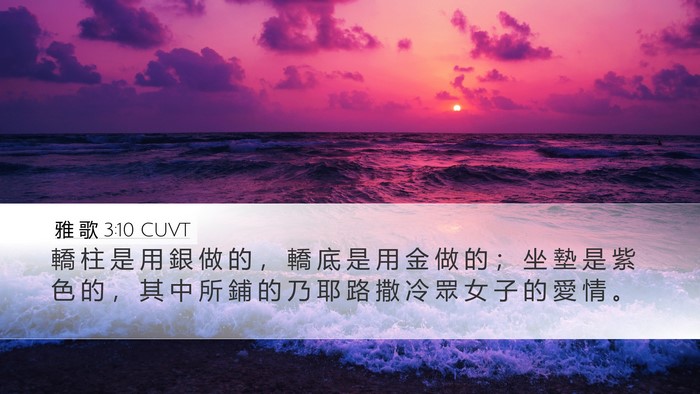 雅 歌 3:10 CUVT Bible Verse Image