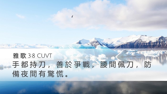 雅 歌 3:8 CUVT Desktop Wallpaper - 手 都 持 刀 ， 善 於 爭 戰 ， 腰 間 - Desktop Bible Verse Wallpaper