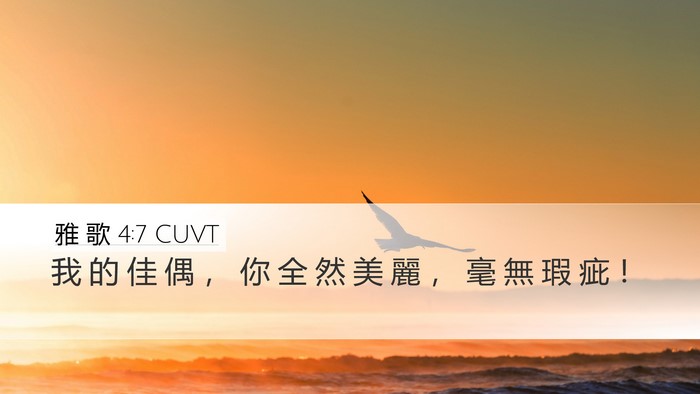 雅 歌 4:7 CUVT Bible Verse Image