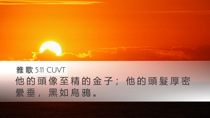 雅 歌 5:11 CUVT Bible Verse Image