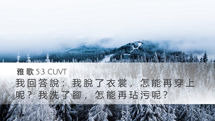 雅 歌 5:3 CUVT Desktop Wallpaper - 我 回 答 說 ： 我 脫 了 衣 裳 ， 怎 - Desktop Bible Verse Wallpaper