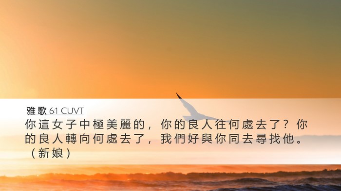 雅 歌 6:1 CUVT Bible Verse Image