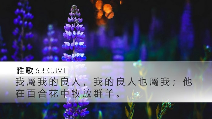 雅 歌 6:3 CUVT Bible Verse Image