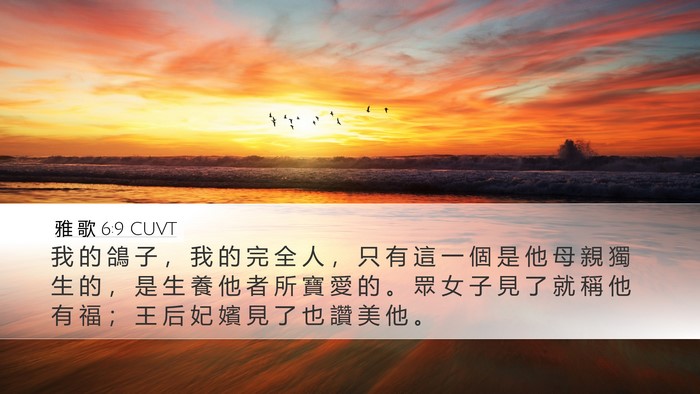 雅 歌 6:9 CUVT Bible Verse Image