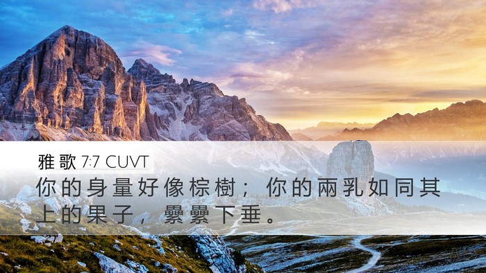 雅 歌 7:7 CUVT Desktop Wallpaper - 你 的 身 量 好 像 棕 樹 ； 你 的 兩 - Desktop Bible Verse Wallpaper
