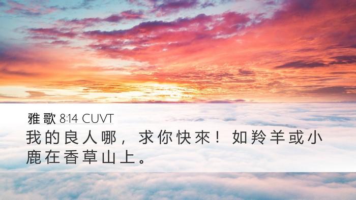 雅 歌 8:14 CUVT Bible Verse Image