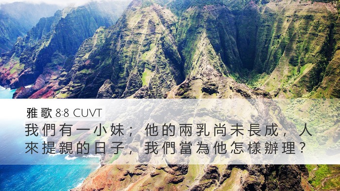 雅 歌 8:8 CUVT Bible Verse Image