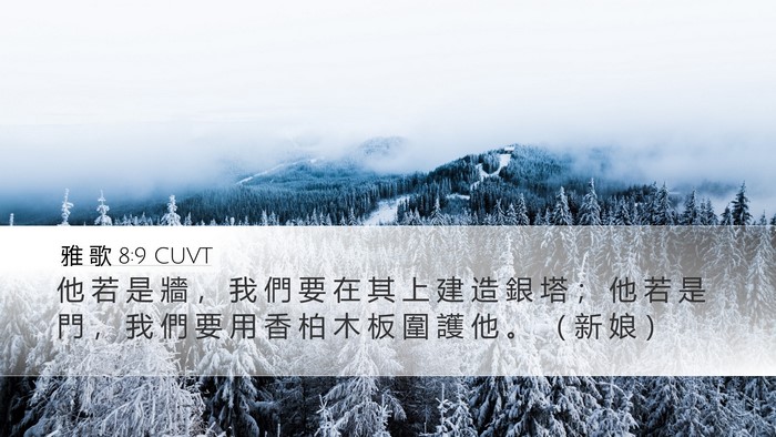 雅 歌 8:9 CUVT Bible Verse Image