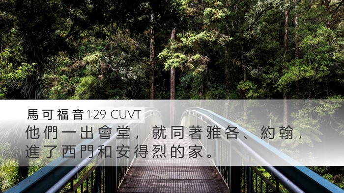 馬 可 福 音 1:29 CUVT Desktop Wallpaper - 他 們 一 出 會 堂 ， 就 同 著 雅 各 - Desktop Bible Verse Wallpaper