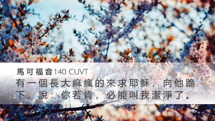 馬 可 福 音 1:40 CUVT Desktop Wallpaper - 有 一 個 長 大 痲 瘋 的 來 求 耶 穌 - Desktop Bible Verse Wallpaper