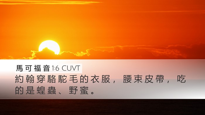 馬 可 福 音 1:6 CUVT Bible Verse Image