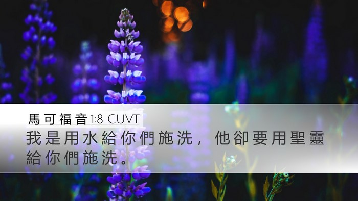 馬 可 福 音 1:8 CUVT Desktop Wallpaper - 我 是 用 水 給 你 們 施 洗 ， 他 卻 - Desktop Bible Verse Wallpaper