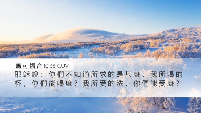 馬 可 福 音 10:38 CUVT Bible Verse Image