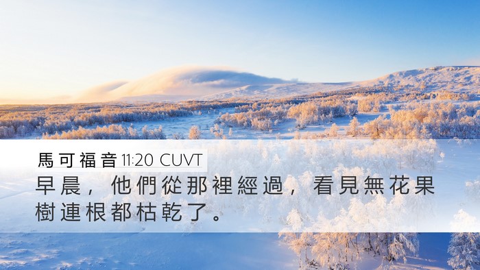 馬 可 福 音 11:20 CUVT Bible Verse Image