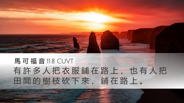 馬 可 福 音 11:8 CUVT Desktop Wallpaper - 有 許 多 人 把 衣 服 鋪 在 路 上 ， - Desktop Bible Verse Wallpaper