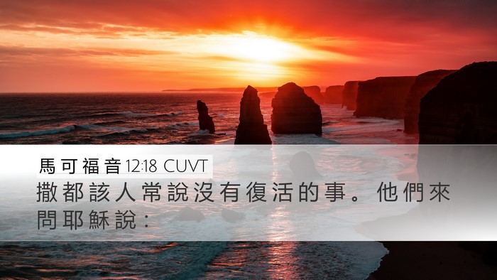 馬 可 福 音 12:18 CUVT Bible Verse Image
