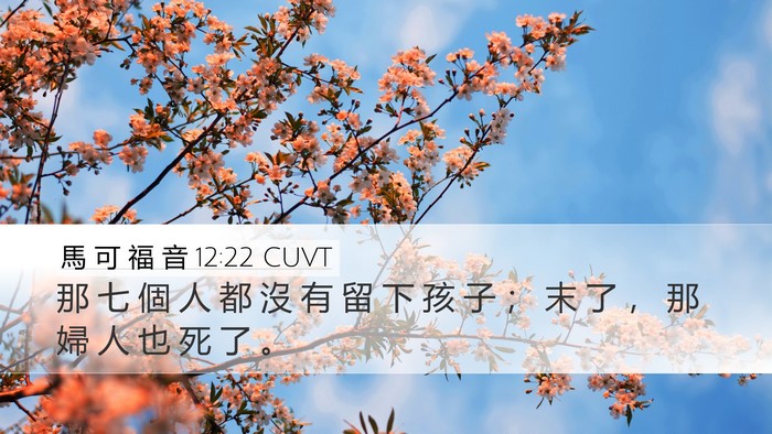 馬 可 福 音 12:22 CUVT Desktop Wallpaper - 那 七 個 人 都 沒 有 留 下 孩 子 ； - Desktop Bible Verse Wallpaper