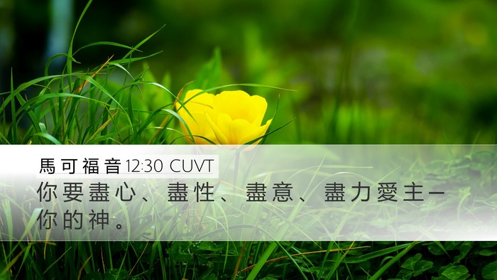 馬 可 福 音 12:30 CUVT Bible Verse Image