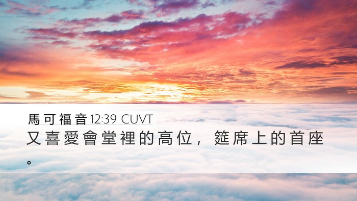 馬 可 福 音 12:39 CUVT Desktop Wallpaper - 又 喜 愛 會 堂 裡 的 高 位 ， 筵 席 - Desktop Bible Verse Wallpaper