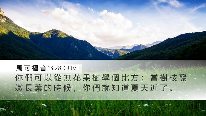 馬 可 福 音 13:28 CUVT Bible Verse Image