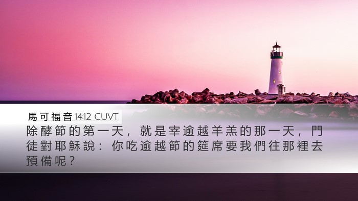 馬 可 福 音 14:12 CUVT Desktop Wallpaper - 除 酵 節 的 第 一 天 ， 就 是 宰 逾 - Desktop Bible Verse Wallpaper