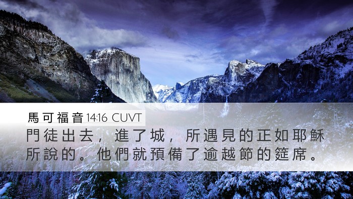 馬 可 福 音 14:16 CUVT Desktop Wallpaper - 門 徒 出 去 ， 進 了 城 ， 所 遇 見 - Desktop Bible Verse Wallpaper