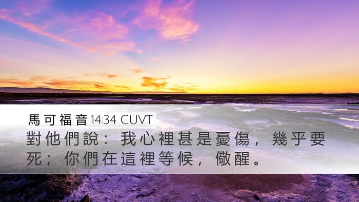 馬 可 福 音 14:34 CUVT Bible Verse Image