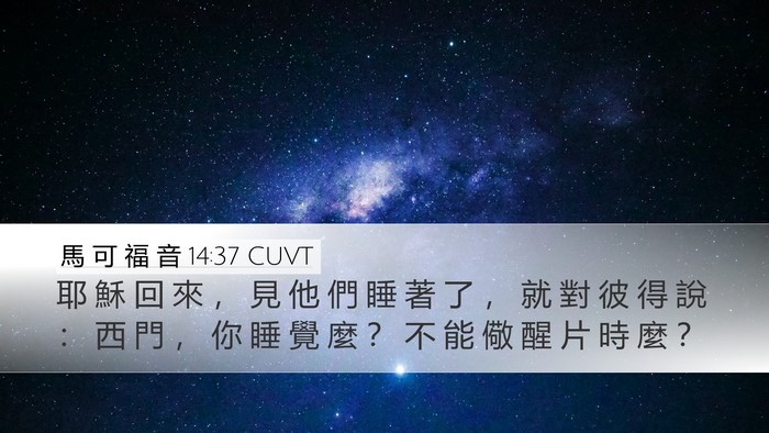 馬 可 福 音 14:37 CUVT Bible Verse Image