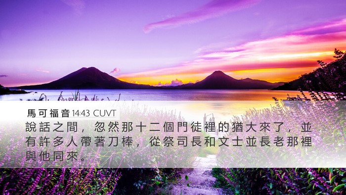 馬 可 福 音 14:43 CUVT Bible Verse Image