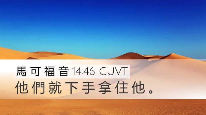 馬 可 福 音 14:46 CUVT Desktop Wallpaper - 他 們 就 下 手 拿 住 他 - Desktop Bible Verse Wallpaper
