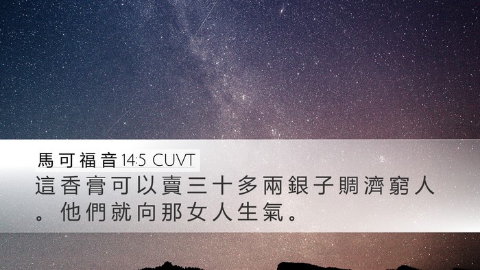 馬 可 福 音 14:5 CUVT Desktop Wallpaper - 這 香 膏 可 以 賣 三 十 多 兩 銀 子 - Desktop Bible Verse Wallpaper