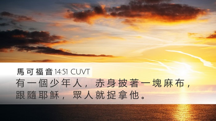 馬 可 福 音 14:51 CUVT Bible Verse Image