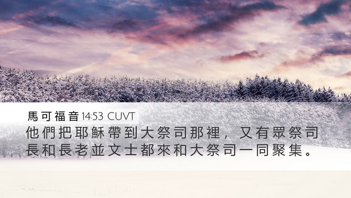 馬 可 福 音 14:53 CUVT Bible Verse Image