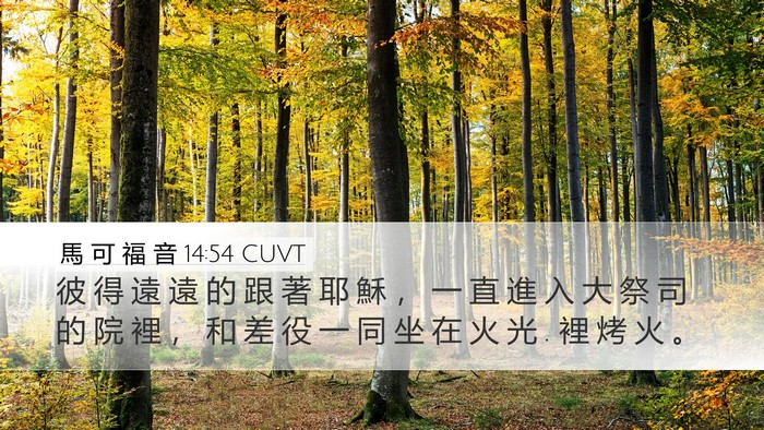 馬 可 福 音 14:54 CUVT Bible Verse Image