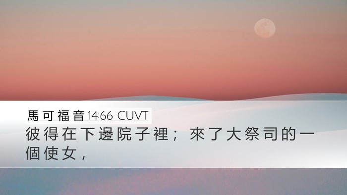 馬 可 福 音 14:66 CUVT Bible Verse Image