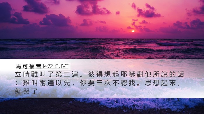 馬 可 福 音 14:72 CUVT Desktop Wallpaper - 立 時 雞 叫 了 第 二 遍 。 彼 得 想 - Desktop Bible Verse Wallpaper