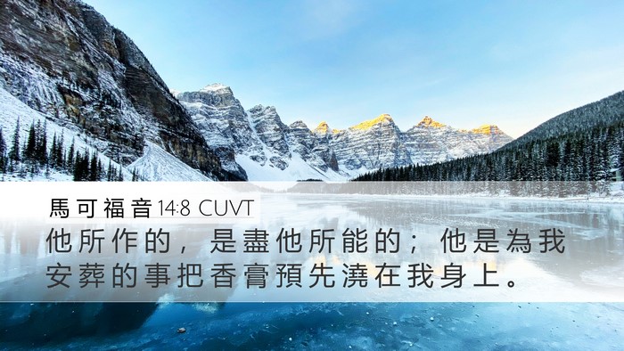 馬 可 福 音 14:8 CUVT Bible Verse Image