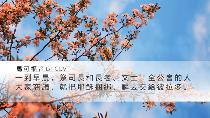 馬 可 福 音 15:1 CUVT Bible Verse Image